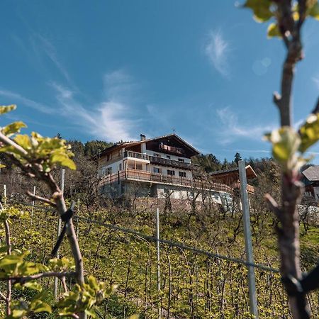Malgorerhof Lavendel San Genesio Atesino Dış mekan fotoğraf